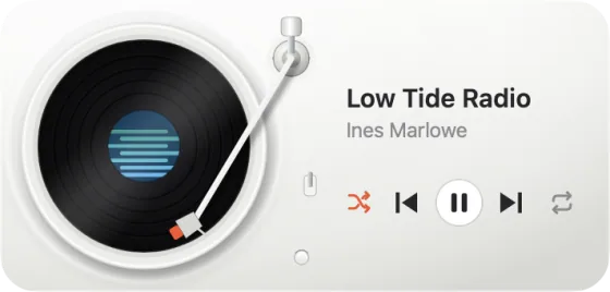 The widget as the Porcelain turntable
